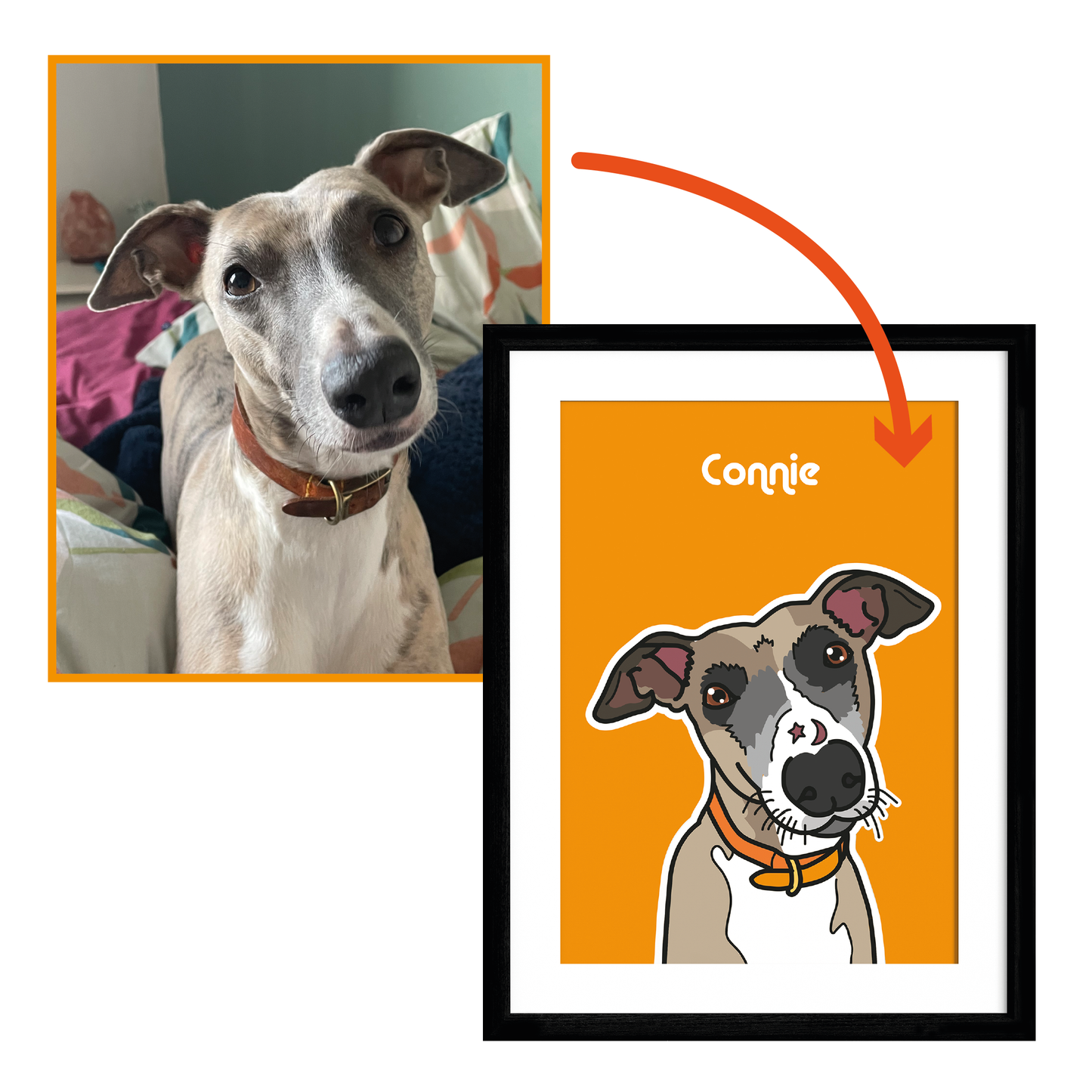 Personalised Pet Illustration