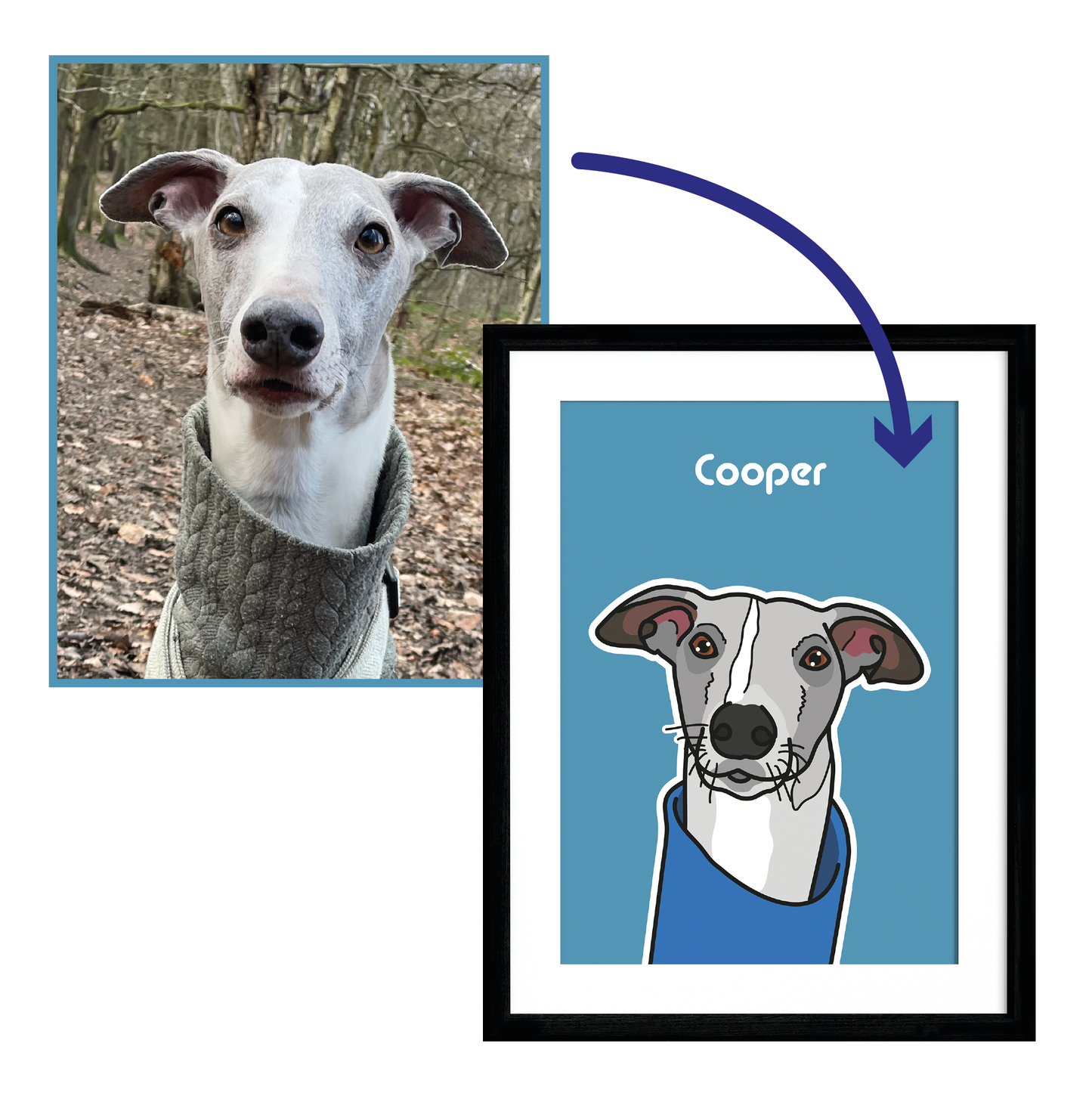 Personalised Pet Illustration