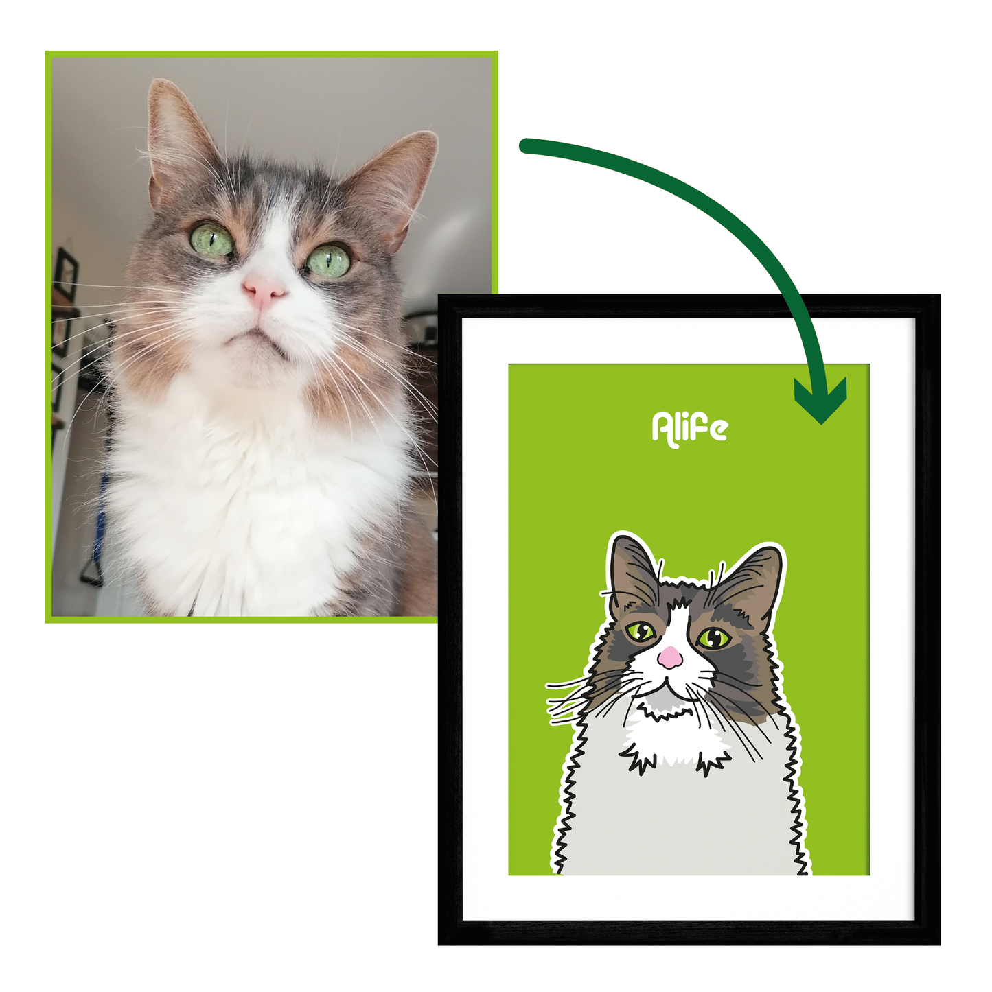 Personalised Pet Illustration