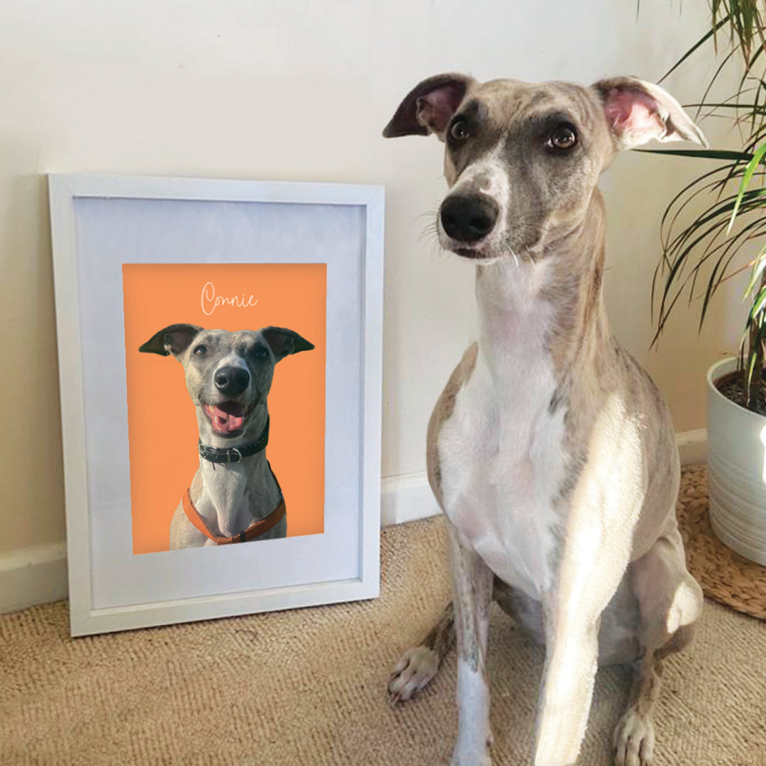 Personalised Pet Portrait
