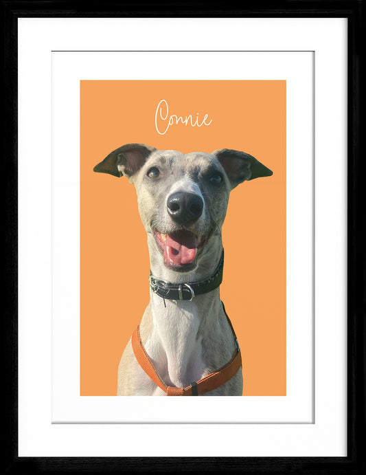 Personalised Pet Portrait