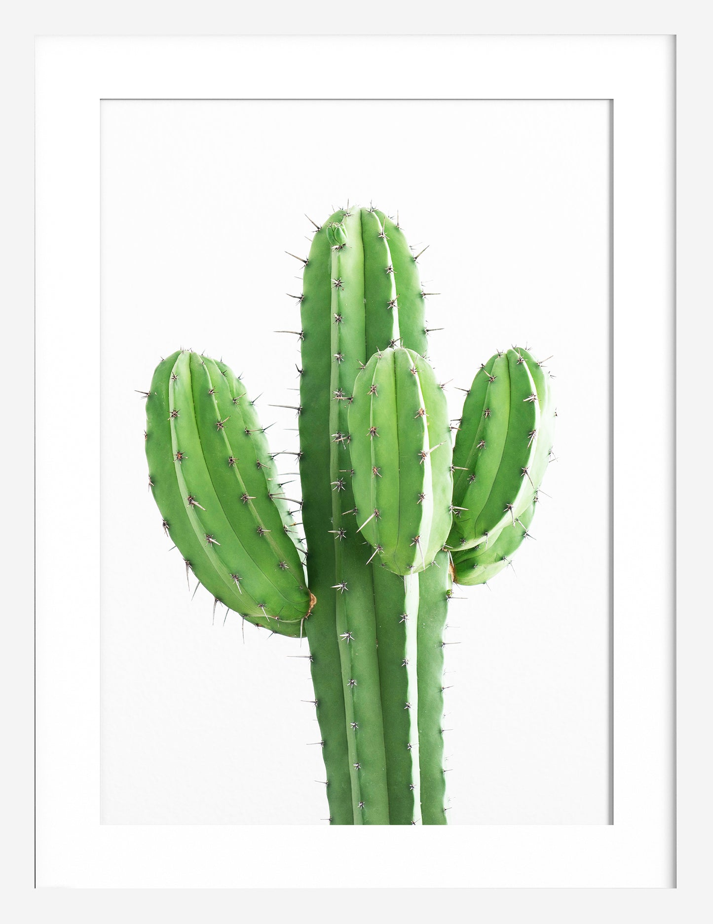 Wall Art Cactus