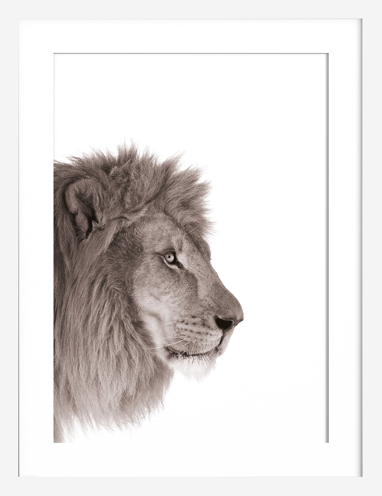 Courage