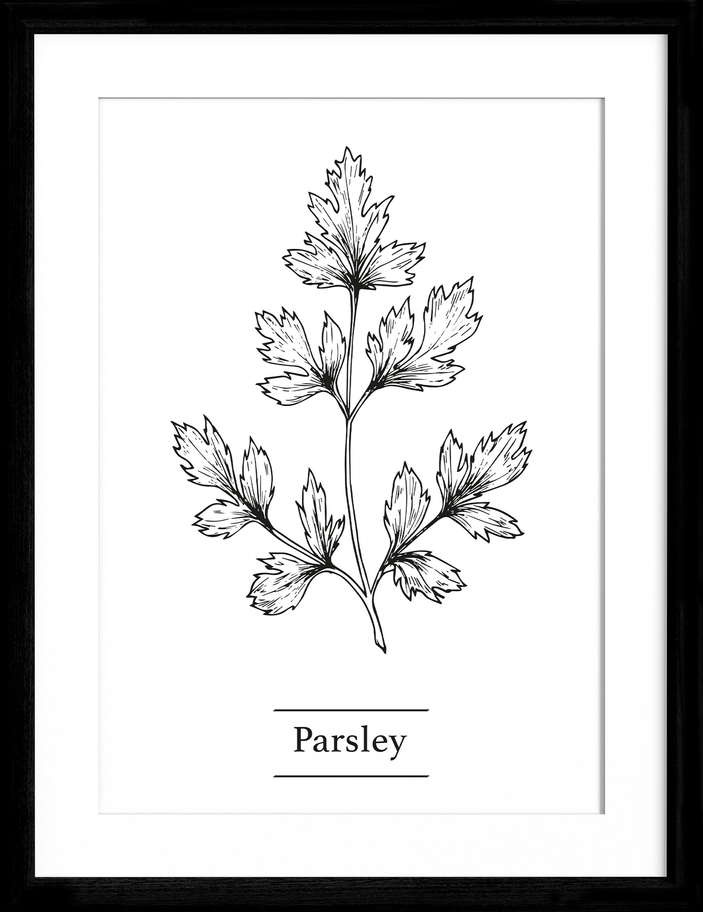 Parsley