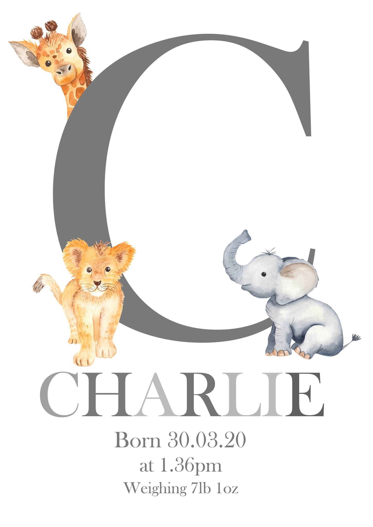 Baby Zoo Alphabet Personalised Print
