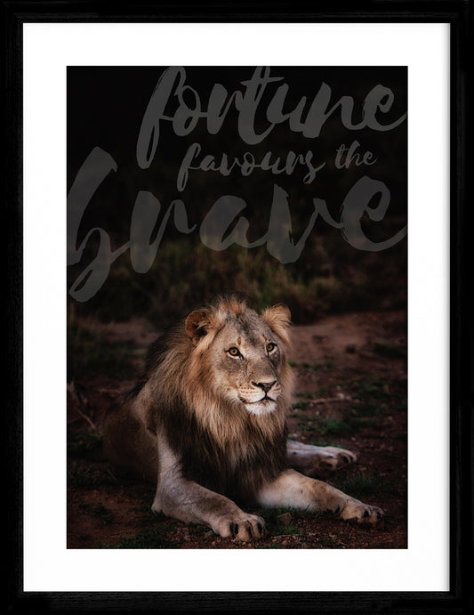 Fortune favours the brave