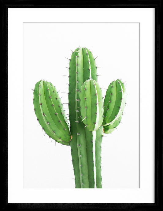 Wall Art Cactus