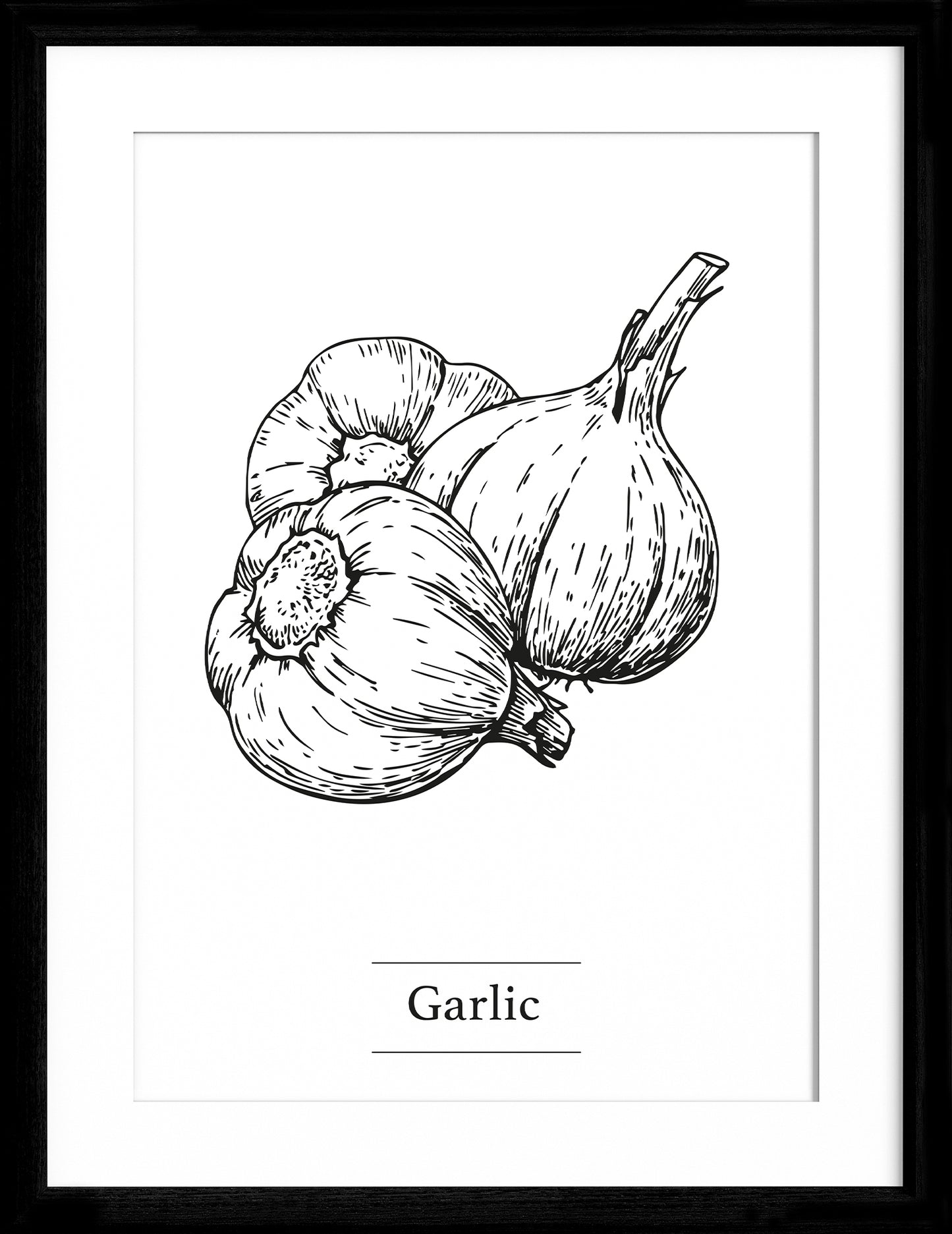 Garlic