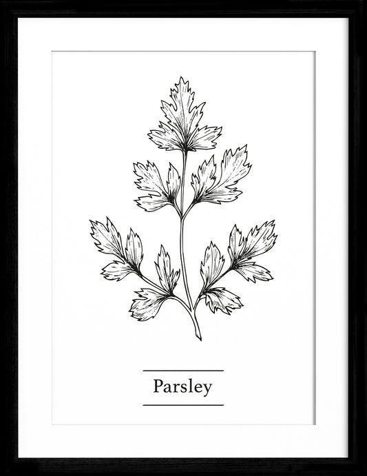 Parsley