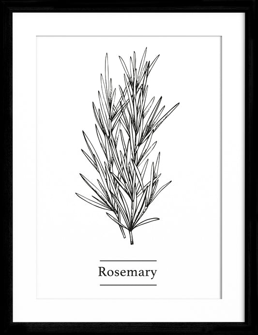 Rosemary