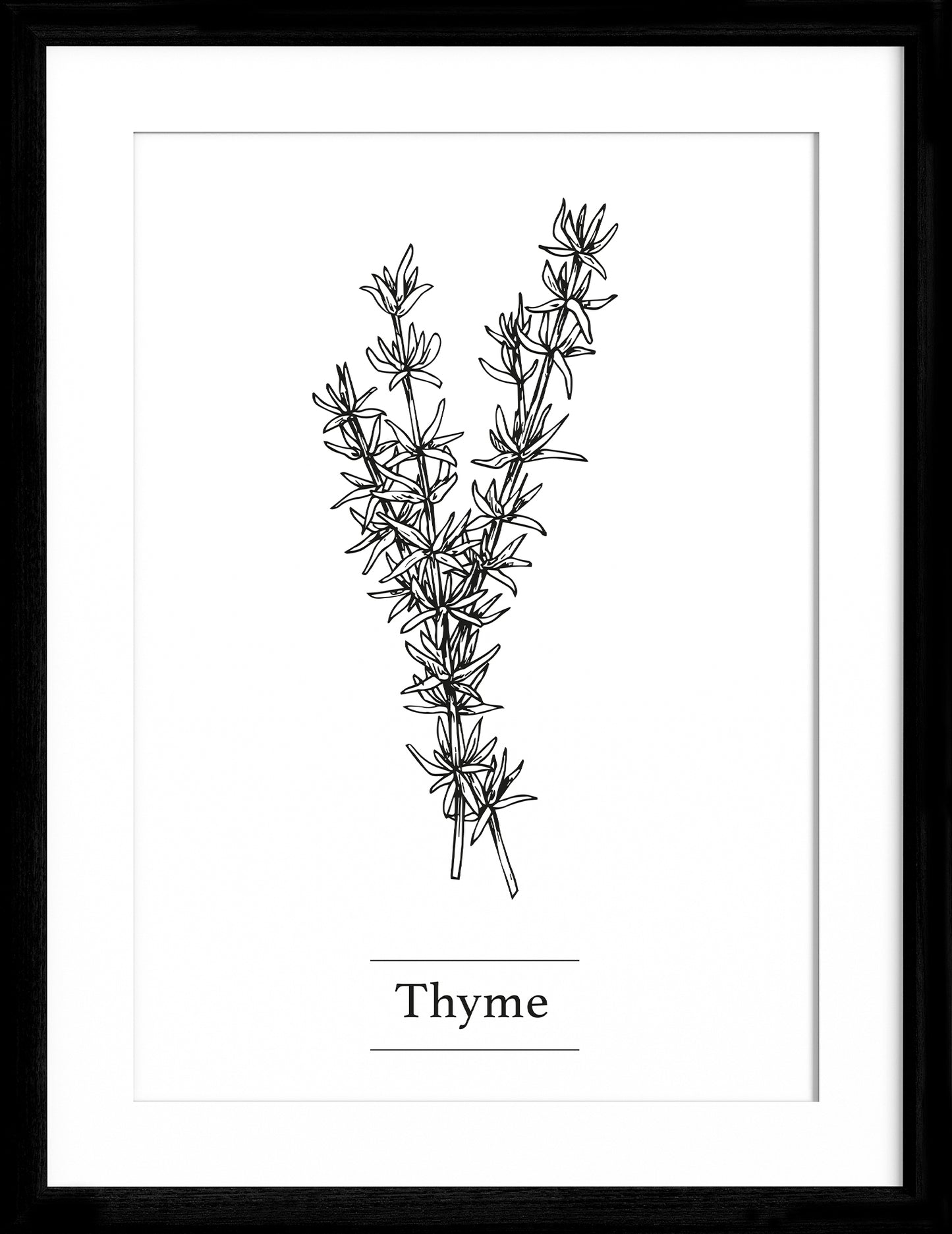 Thyme